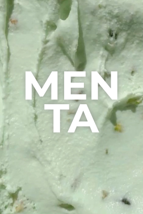 Menta